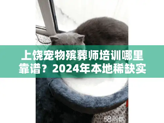 上饶宠物殡葬师培训哪里靠谱?2024年本地稀缺实战课全解析 上饶宠物殡葬师培训哪里靠谱?2024年本地稀缺实战课全解析