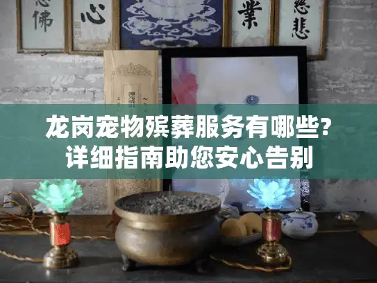 龙岗宠物殡葬服务有哪些?详细指南助您安心告别