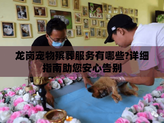 龙岗宠物殡葬服务有哪些?详细指南助您安心告别