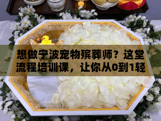想做宁波宠物殡葬师？这堂流程培训课，让你从0到1轻松上手！