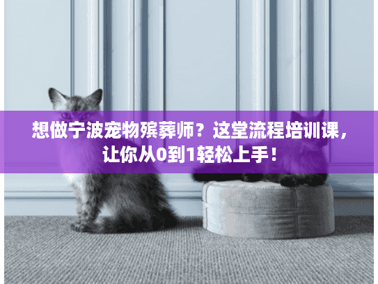 想做宁波宠物殡葬师？这堂流程培训课，让你从0到1轻松上手！