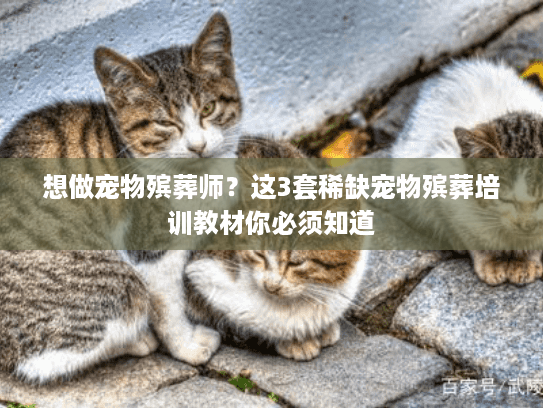 想做宠物殡葬师？这3套稀缺宠物殡葬培训教材你必须知道