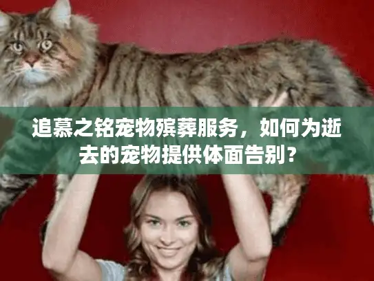 追慕之铭宠物殡葬服务，如何为逝去的宠物提供体面告别？