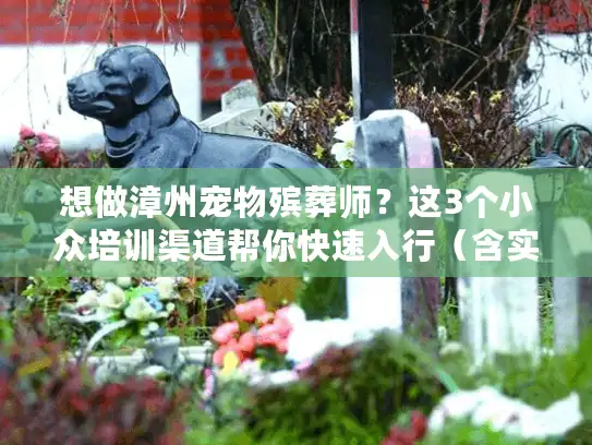 想做漳州宠物殡葬师？这3个小众培训渠道帮你快速入行（含实操案例）