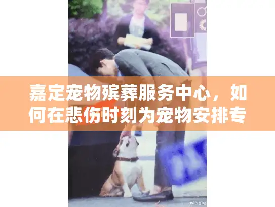 嘉定宠物殡葬服务中心，如何在悲伤时刻为宠物安排专业告别仪式?