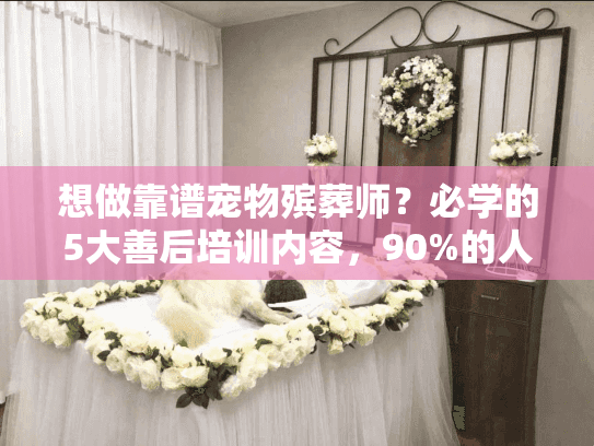想做靠谱宠物殡葬师？必学的5大善后培训内容，90%的人都不知道！
