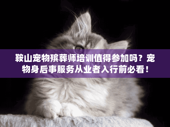 鞍山宠物殡葬师培训值得参加吗？宠物身后事服务从业者入行前必看！