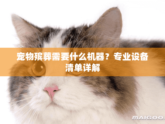 宠物殡葬需要什么机器？专业设备清单详解