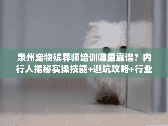泉州宠物殡葬师培训哪里靠谱？内行人揭秘实操技能+避坑攻略+行业前景