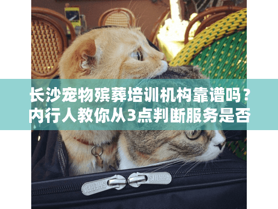 长沙宠物殡葬培训机构靠谱吗？内行人教你从3点判断服务是否专业