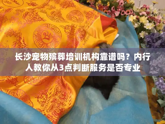 长沙宠物殡葬培训机构靠谱吗？内行人教你从3点判断服务是否专业