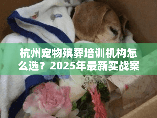 杭州宠物殡葬培训机构怎么选？2025年最新实战案例+行业内幕首次公开