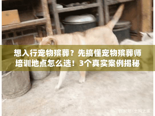 想入行宠物殡葬?先搞懂宠物殡葬师培训地点怎么选!3个真实案例揭秘 想入行宠物殡葬?先搞懂宠物殡葬师培训地点怎么选!3个真实案例揭秘