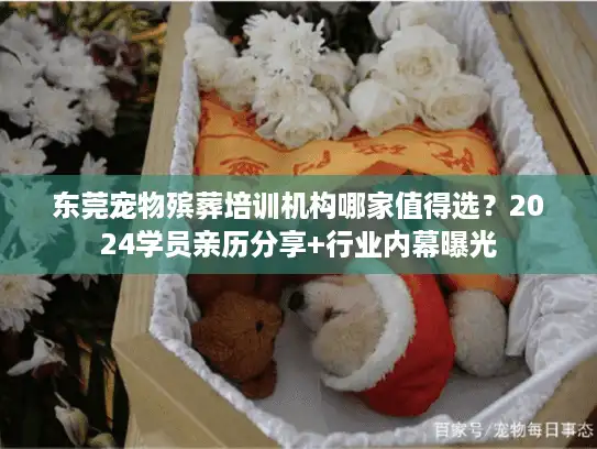 东莞宠物殡葬培训机构哪家值得选？2024学员亲历分享+行业内幕曝光
