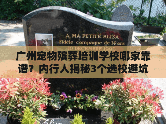 广州宠物殡葬培训学校哪家靠谱？内行人揭秘3个选校避坑指南+真实案例