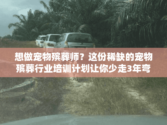 想做宠物殡葬师?这份稀缺的宠物殡葬行业培训计划让你少走3年弯路 想做宠物殡葬师?这份稀缺的宠物殡葬行业培训计划让你少走3年弯路