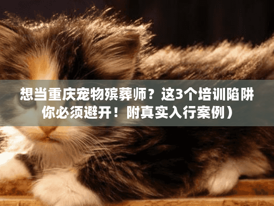 想当重庆宠物殡葬师？这3个培训陷阱你必须避开！附真实入行案例）