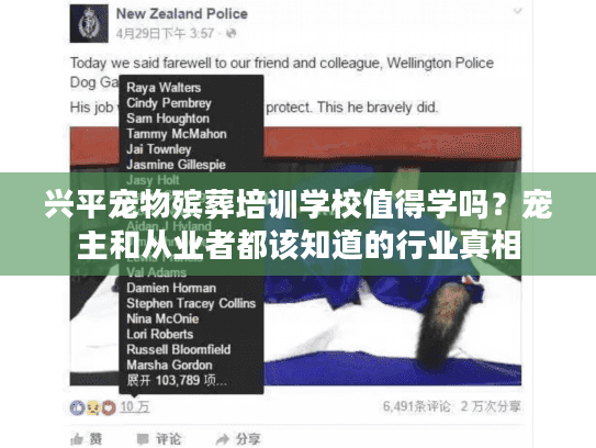 兴平宠物殡葬培训学校值得学吗？宠主和从业者都该知道的行业真相