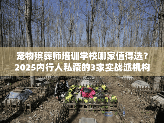 宠物殡葬师培训学校哪家值得选？2025内行人私藏的3家实战派机构全揭秘