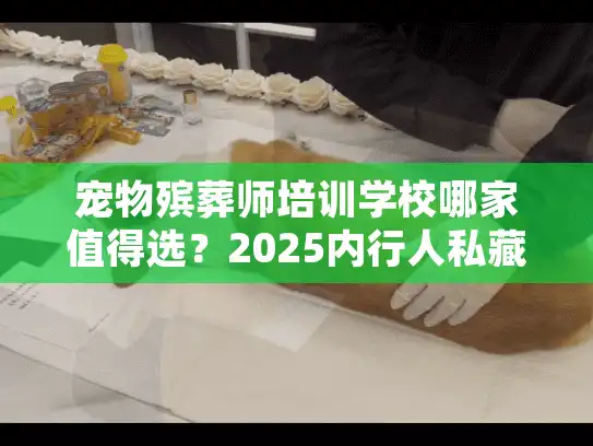 宠物殡葬师培训学校哪家值得选？2025内行人私藏的3家实战派机构全揭秘
