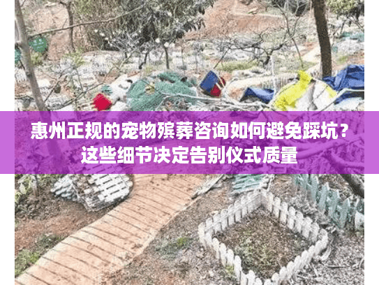 惠州正规的宠物殡葬咨询如何避免踩坑？这些细节决定告别仪式质量