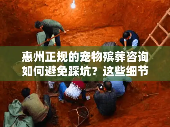 惠州正规的宠物殡葬咨询如何避免踩坑？这些细节决定告别仪式质量