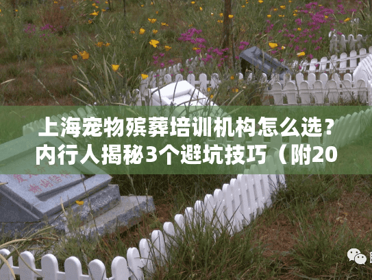 上海宠物殡葬培训机构怎么选？内行人揭秘3个避坑技巧（附2025实地考察案例）
