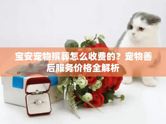 宝安宠物殡葬怎么收费的？宠物善后服务价格全解析