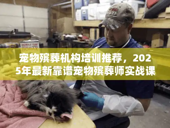 宠物殡葬机构培训推荐，2025年最新靠谱宠物殡葬师实战课程有哪些？