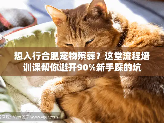 想入行合肥宠物殡葬?这堂流程培训课帮你避开90%新手踩的坑 想入行合肥宠物殡葬?这堂流程培训课帮你避开90%新手踩的坑
