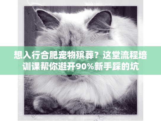 想入行合肥宠物殡葬?这堂流程培训课帮你避开90%新手踩的坑 想入行合肥宠物殡葬?这堂流程培训课帮你避开90%新手踩的坑