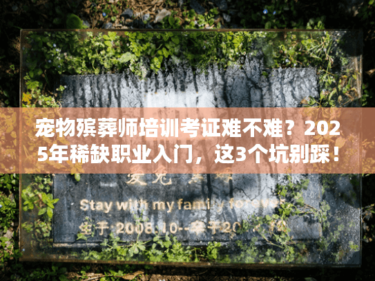 宠物殡葬师培训考证难不难？2025年稀缺职业入门，这3个坑别踩！