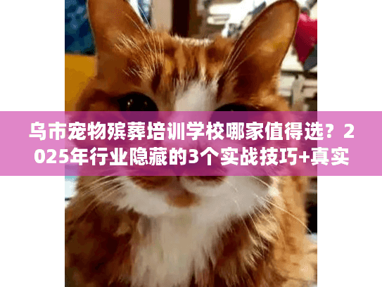 乌市宠物殡葬培训学校哪家值得选？2025年行业隐藏的3个实战技巧+真实案例
