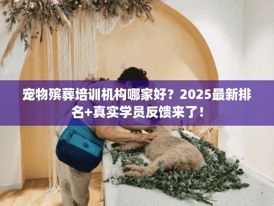 宠物殡葬培训机构哪家好？2025最新排名+真实学员反馈来了！