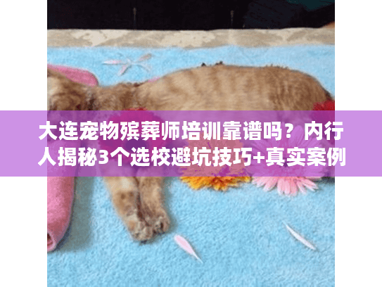 大连宠物殡葬师培训靠谱吗？内行人揭秘3个选校避坑技巧+真实案例