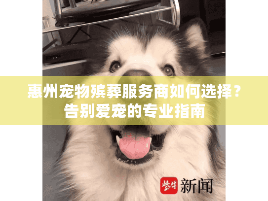 惠州宠物殡葬服务商如何选择？告别爱宠的专业指南