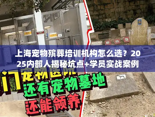 上海宠物殡葬培训机构怎么选？2025内部人揭秘坑点+学员实战案例