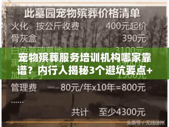 宠物殡葬服务培训机构哪家靠谱？内行人揭秘3个避坑要点+1个实战案例