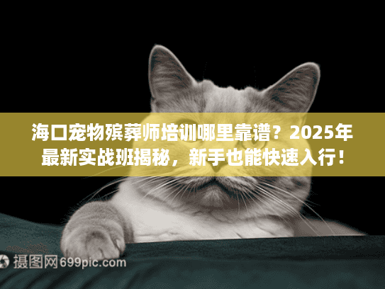 海口宠物殡葬师培训哪里靠谱？2025年最新实战班揭秘，新手也能快速入行！