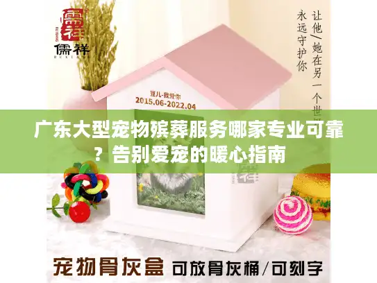 广东大型宠物殡葬服务哪家专业可靠？告别爱宠的暖心指南