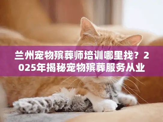 兰州宠物殡葬师培训哪里找？2025年揭秘宠物殡葬服务从业者的真实成长路径
