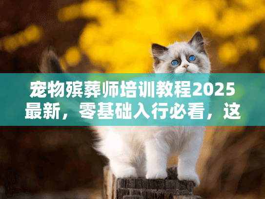 宠物殡葬师培训教程2025最新，零基础入行必看，这3个坑90%的人都踩过？
