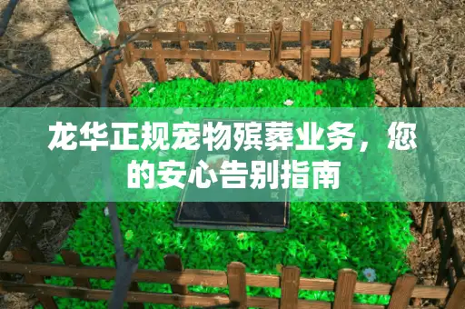龙华正规宠物殡葬业务，您的安心告别指南