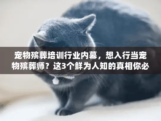 宠物殡葬培训行业内幕，想入行当宠物殡葬师？这3个鲜为人知的真相你必须知道！