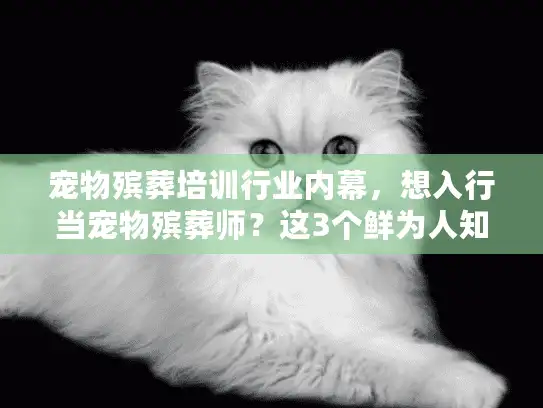 宠物殡葬培训行业内幕，想入行当宠物殡葬师？这3个鲜为人知的真相你必须知道！
