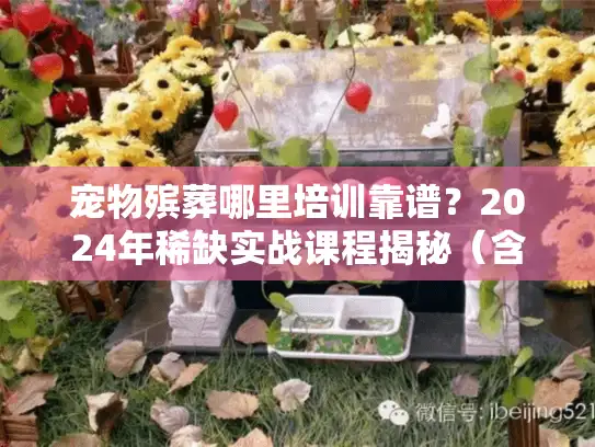 宠物殡葬哪里培训靠谱？2024年稀缺实战课程揭秘（含真实案例）