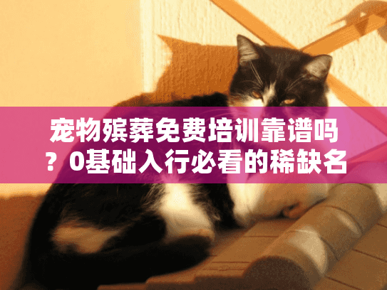 宠物殡葬免费培训靠谱吗？0基础入行必看的稀缺名额与行业内幕