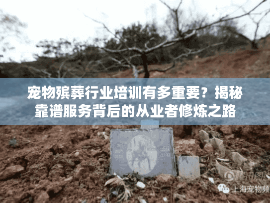 宠物殡葬行业培训有多重要？揭秘靠谱服务背后的从业者修炼之路