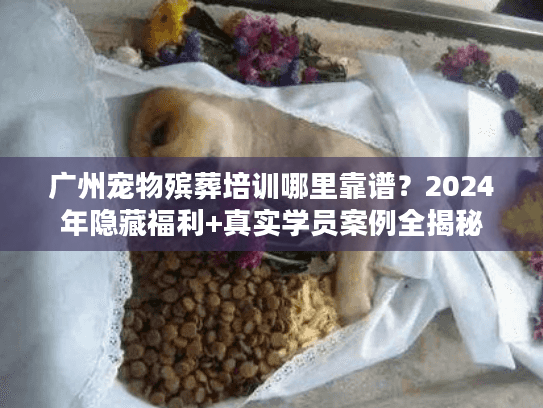 广州宠物殡葬培训哪里靠谱？2024年隐藏福利+真实学员案例全揭秘