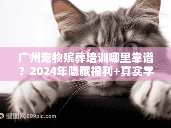 广州宠物殡葬培训哪里靠谱？2024年隐藏福利+真实学员案例全揭秘
